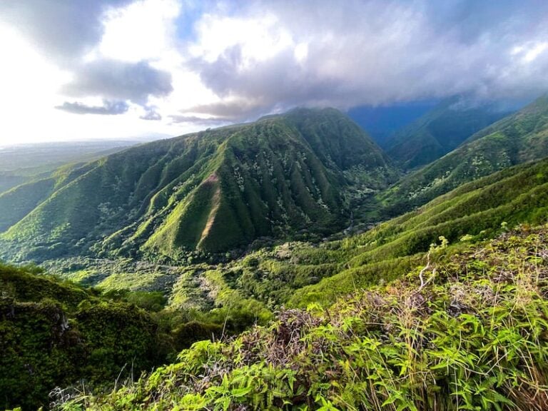 Maui tsunami warning