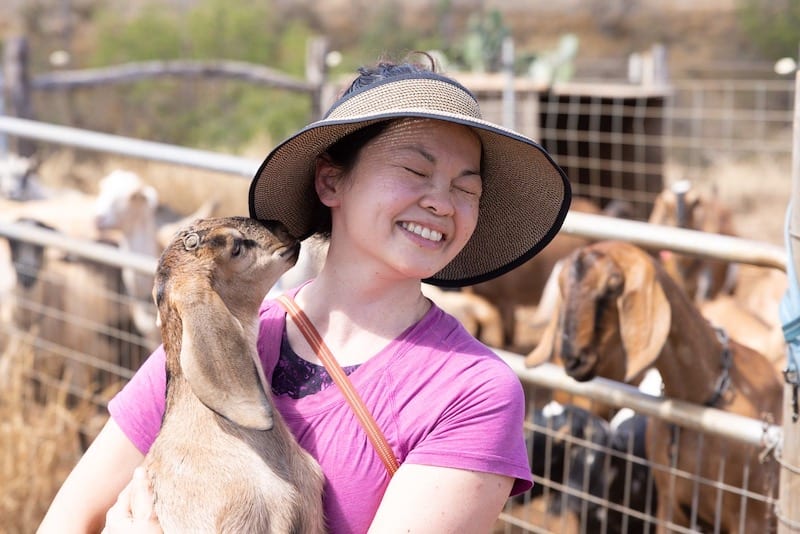 goat farm tour maui