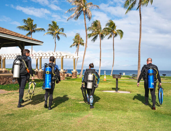 Four scuba divers walking toward the ocean at Airport Beach in Maui Hawaii