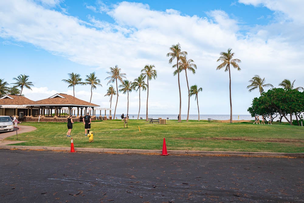 View of Airport Beach Park grass, pavilion, and palm trees from the parking lot in Maui