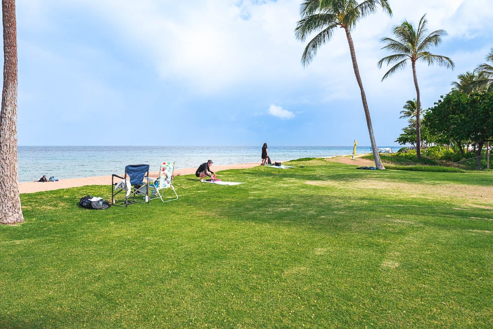 Manicured grass lawn with palm trees and beachgoers at Airport Beach Maui