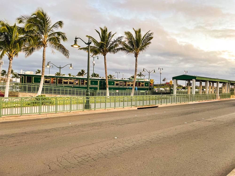 The street view of the Kahului Airport's green rental car tram with palm trees in the foreground