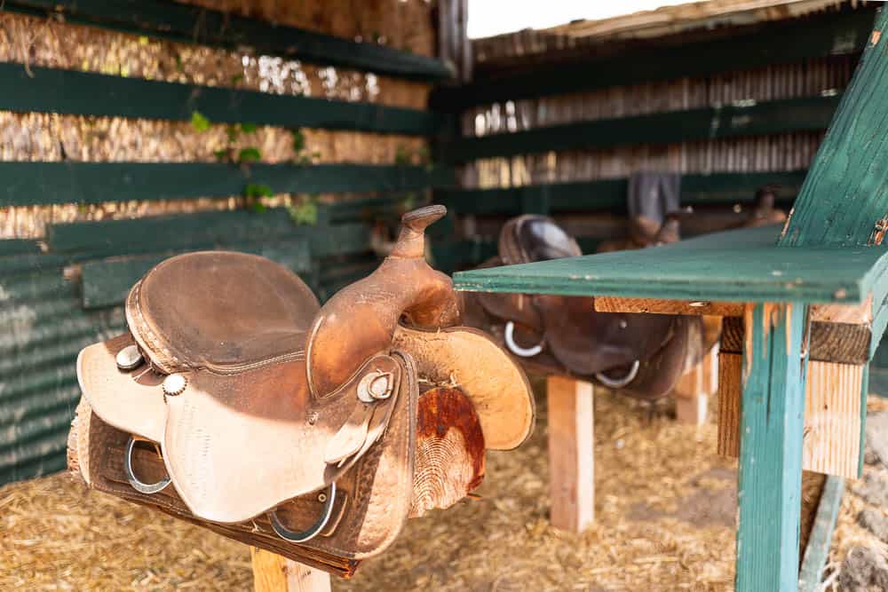 Saddle seating in front of a wooden bar at Bullys Burgers in Kula, Maui