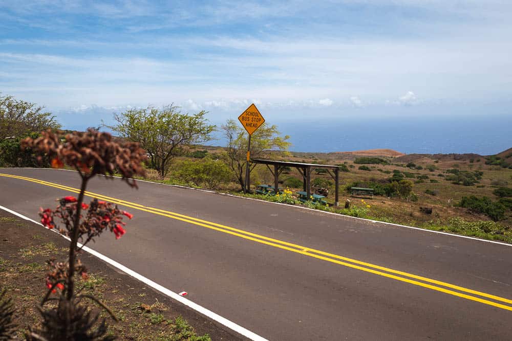 A view of an empty paved road with a yellow stripe and a school bus stop sign, ocean waters in the distance