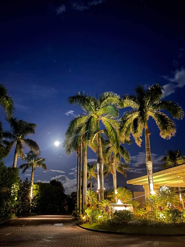 The circular driveway at the Four Seasons Maui at night, with lit palm trees and a bright moon against the dark sky.