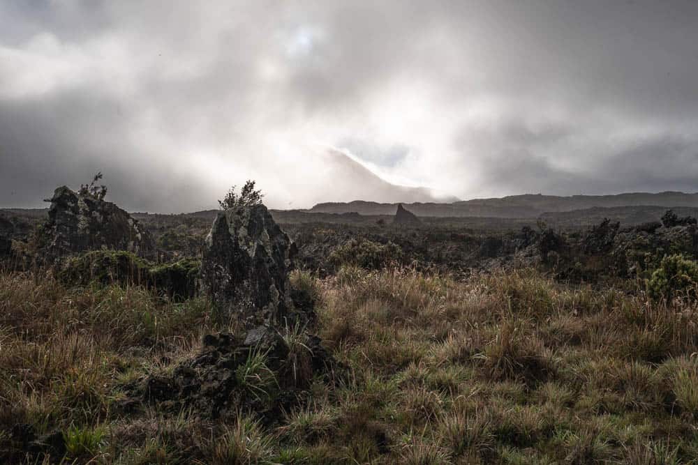 Low, dry brush in the foreground among some lava rock formations with mist in the background.