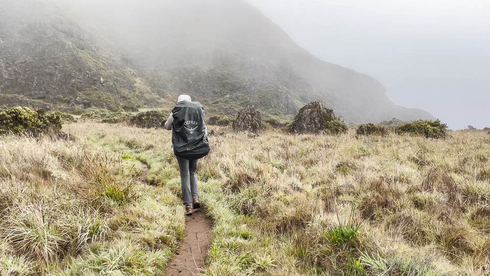 Hiker carrying a large pack walking on a hiking trail on a misty day.