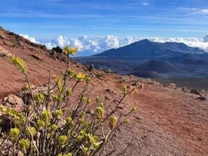 Sunrise vs Sunset at Haleakala National Park: Which is Better? - Maui