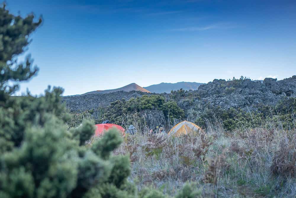 A red and yellow camping tent partially obscured by grass and foliage at Haleakala National Park