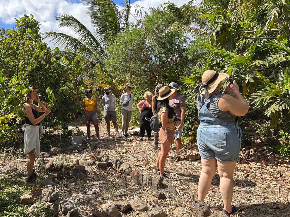 A group of eight people exploring the fields of La Kahea Farm with a tour guide