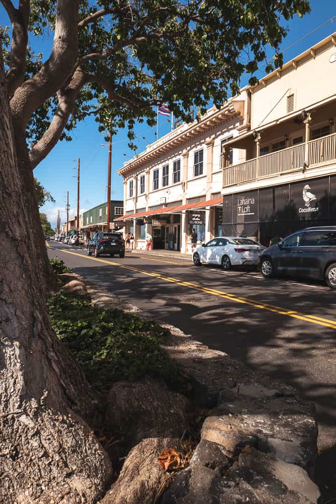 Shop buildings on Front Street in Lahaina, Maui