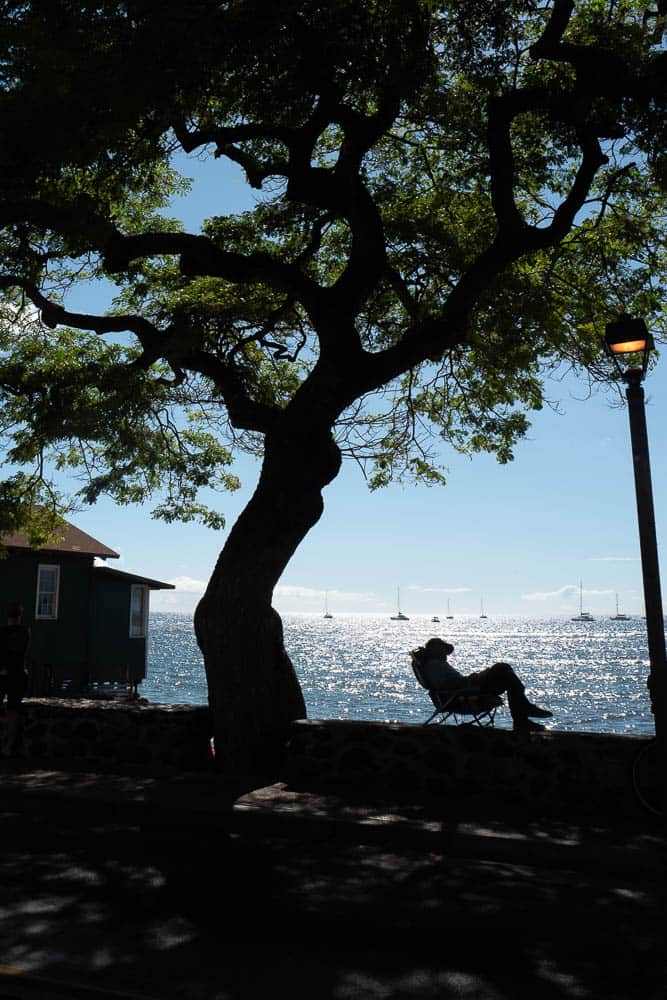 Silhouette of a tree and a person reclining in a chair, overlooking the ocean with sailboats in the distance at Lahaina, Maui