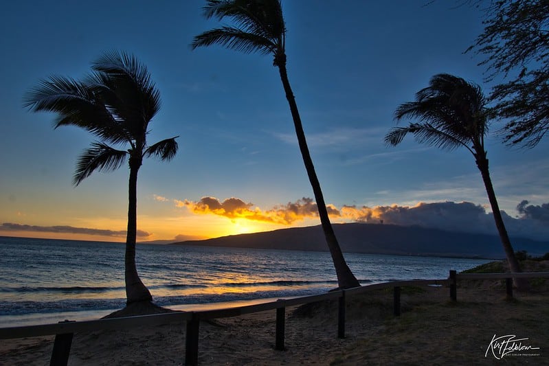 Sunset view of ocean and palm trees from Mai Poina Beach Park, Maui