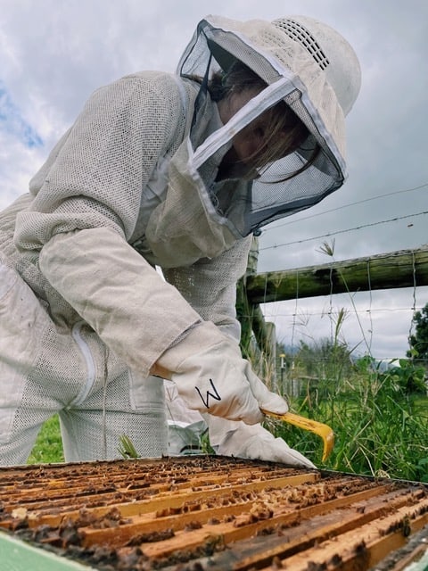 A beekeeper working on a hive at Maui Bees in Hawaii