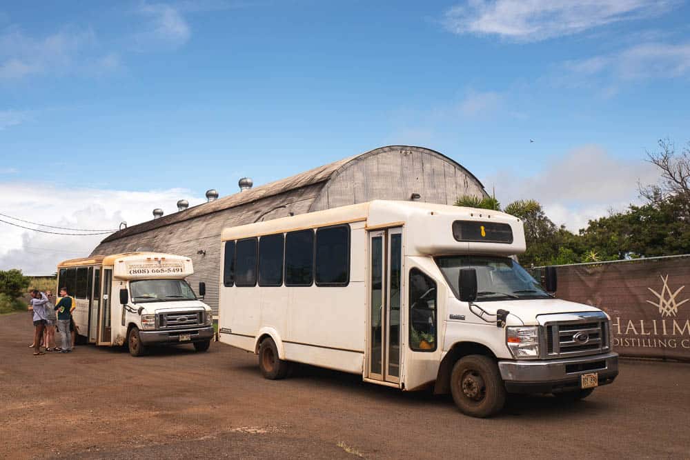 White tour buses at the Maui Gold Pineapple Tour