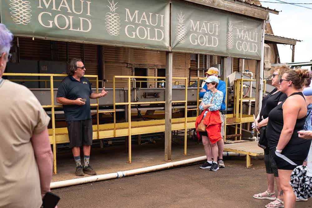 A tour group in front of the Maui Gold pineapple processing plant