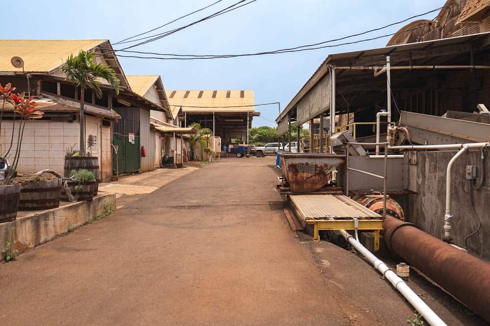Street view of the Maui Gold Pineapple Tour processing plant