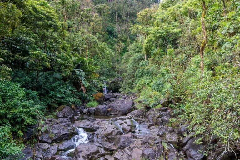 Weather on Maui in November Weather Patterns and Climate