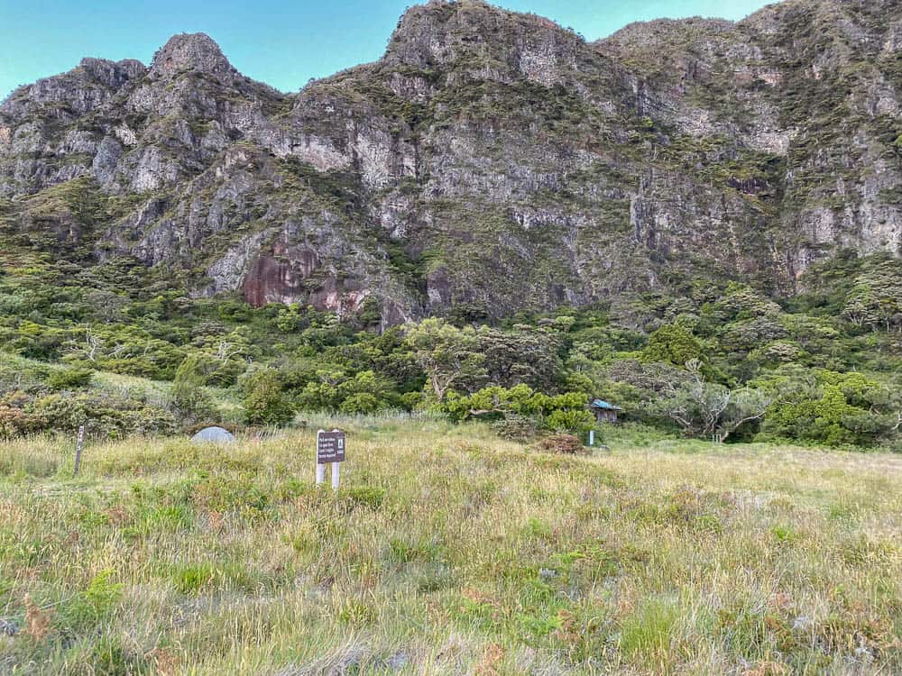 Scenic view of grass and geological outcropping at Paliku campground, Haleakala National Park