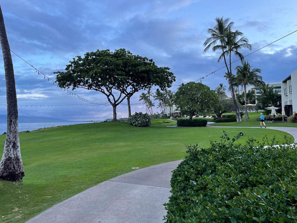 String lights connect to a tree on an open lawn that overlooks the ocean along the Wailea Beach Path