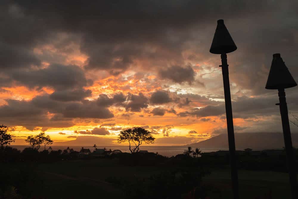 Cloudy skies and at sunset with the silhouette of trees and torch lights.